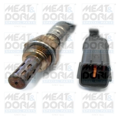 Oxygen Sensor